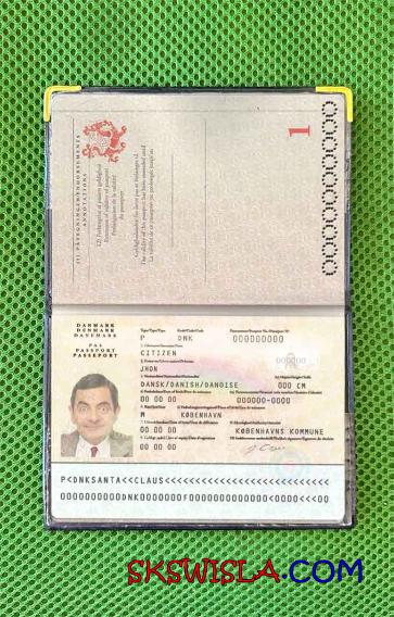 Dania zdjęcie do paszportu pliki PSD, skan i fotografowany obraz